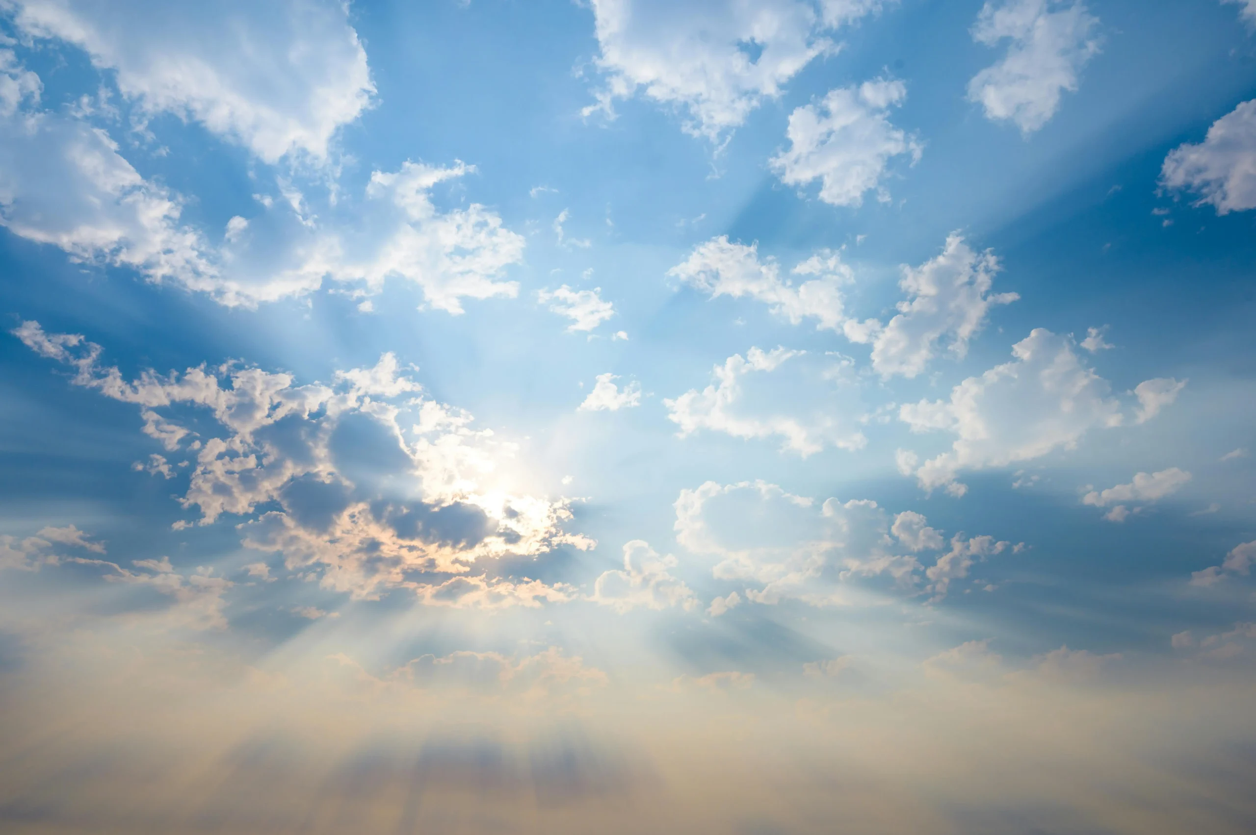 pexels brett sayles 9332668